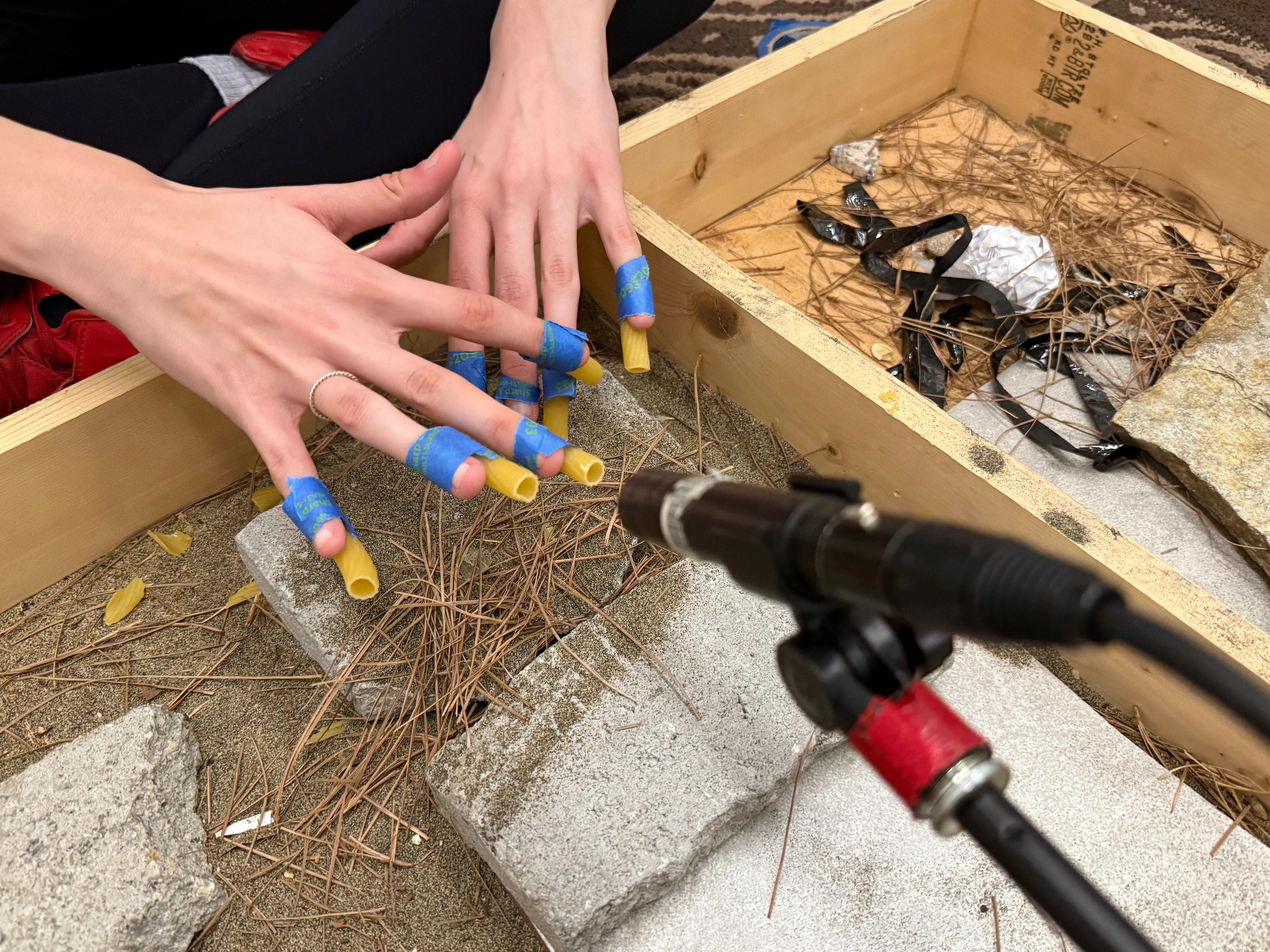 Close up of taped macaroni hands above stone and twigs.